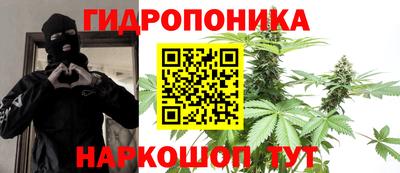 трава Кандалакша