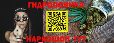 трава Кандалакша